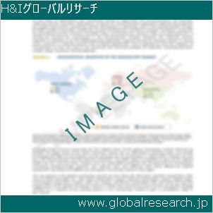 グローバルリサーチ調査レポートのイメージ